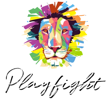 Playfight logo